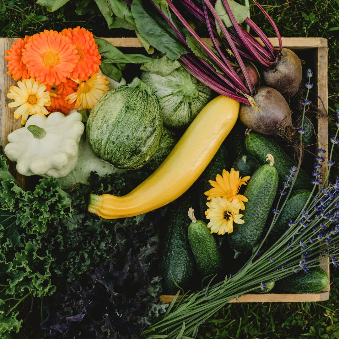 Draufsicht auf eine Herbstgemüsekiste in Gelb-, Orange-, Grün- und Brauntönen. 